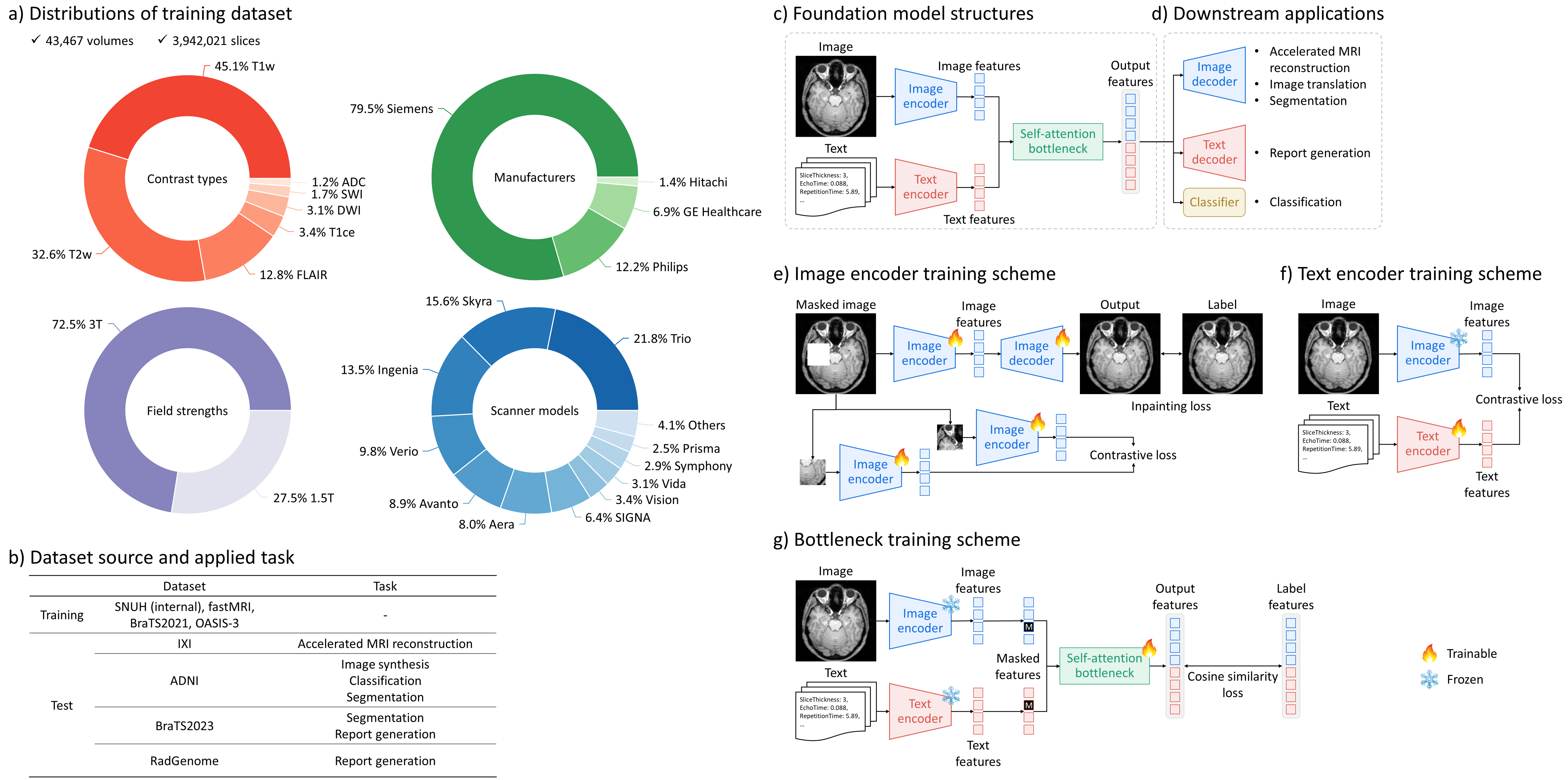 Representative figure for BrainMR Specialist: A Foundation Model of Brain MRI for Diverse Downstream Applications